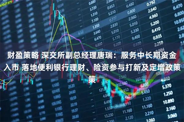 财盈策略 深交所副总经理唐瑞：服务中长期资金入市 落地便利银行理财、险资参与打新及定增政策