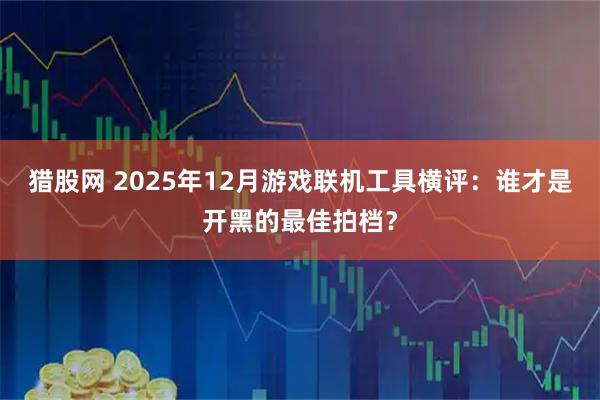 猎股网 2025年12月游戏联机工具横评：谁才是开黑的最佳拍档？