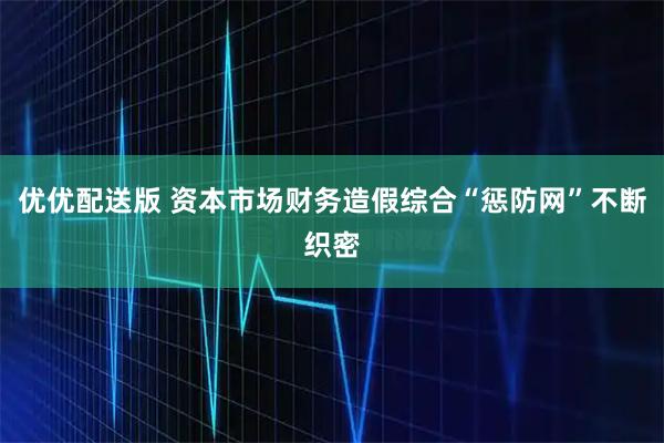 优优配送版 资本市场财务造假综合“惩防网”不断织密