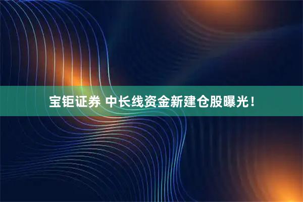 宝钜证券 中长线资金新建仓股曝光！